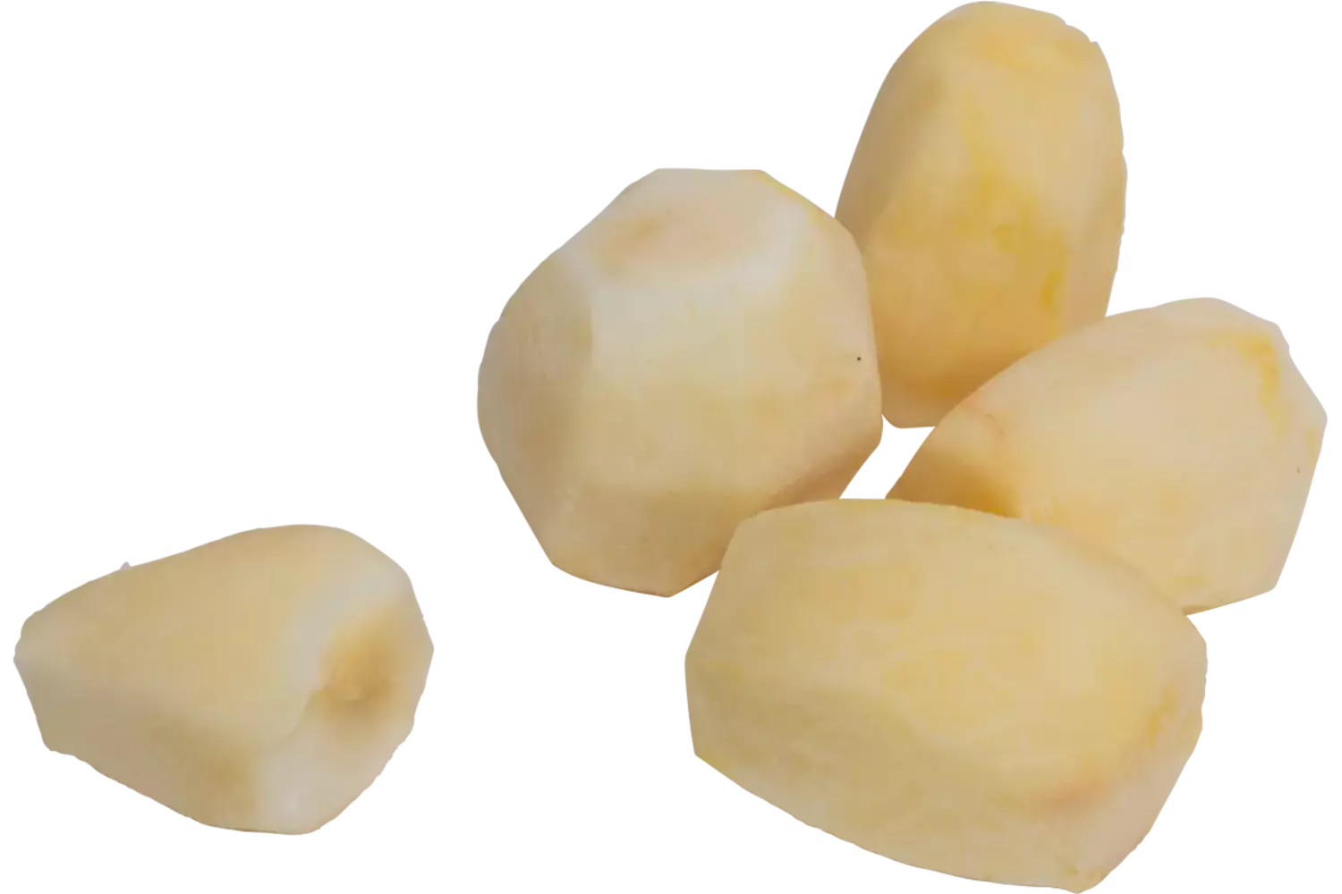 Topinamboer geschrapt zak 1kg stuk 1